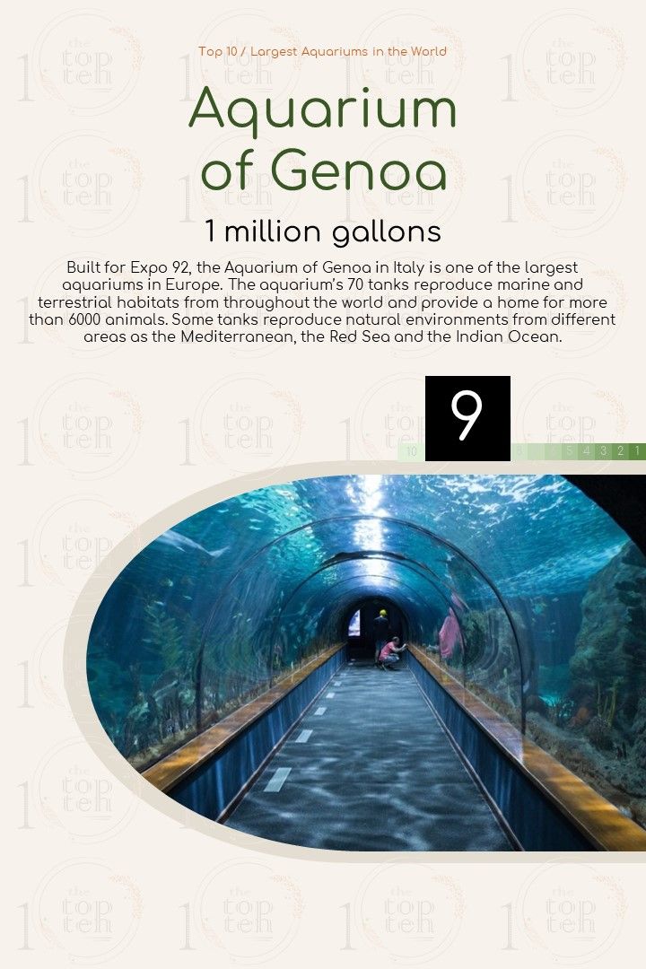 Top 10 / Largest Aquariums in the World theTopTen / Τα Κορυφαία Ομορφότερα Αγαπημένα