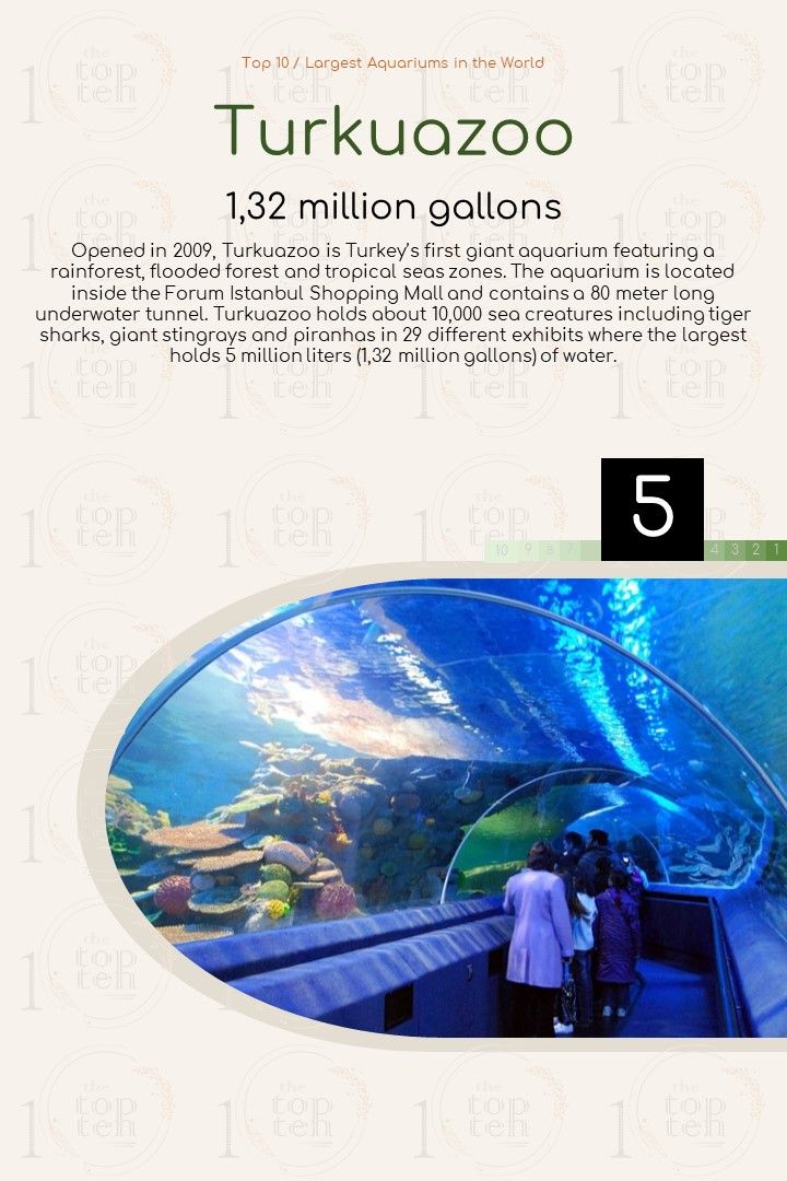Top 10 / Largest Aquariums in the World theTopTen / Τα Κορυφαία Ομορφότερα Αγαπημένα