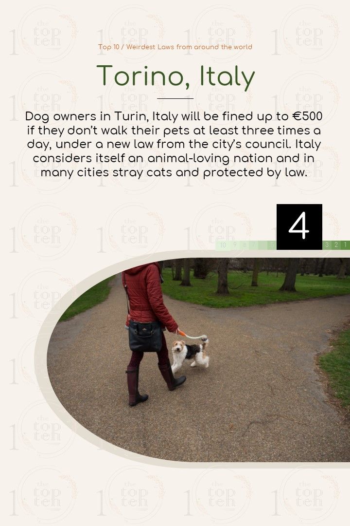 Top 10 / Weirdest Laws from around the world theTopTen / Τα Κορυφαία